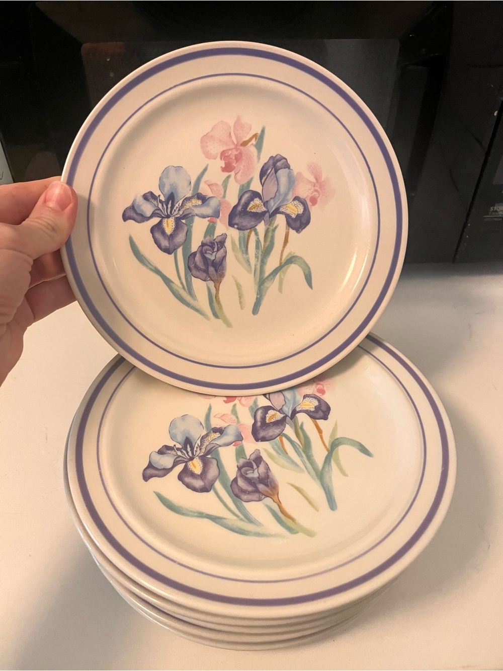 80’s Chinese Iris Salad Plates - Set of 6
